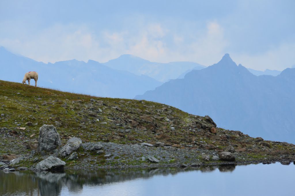 Wanderstudie 2019 I LO.LA Alpine Safety Management