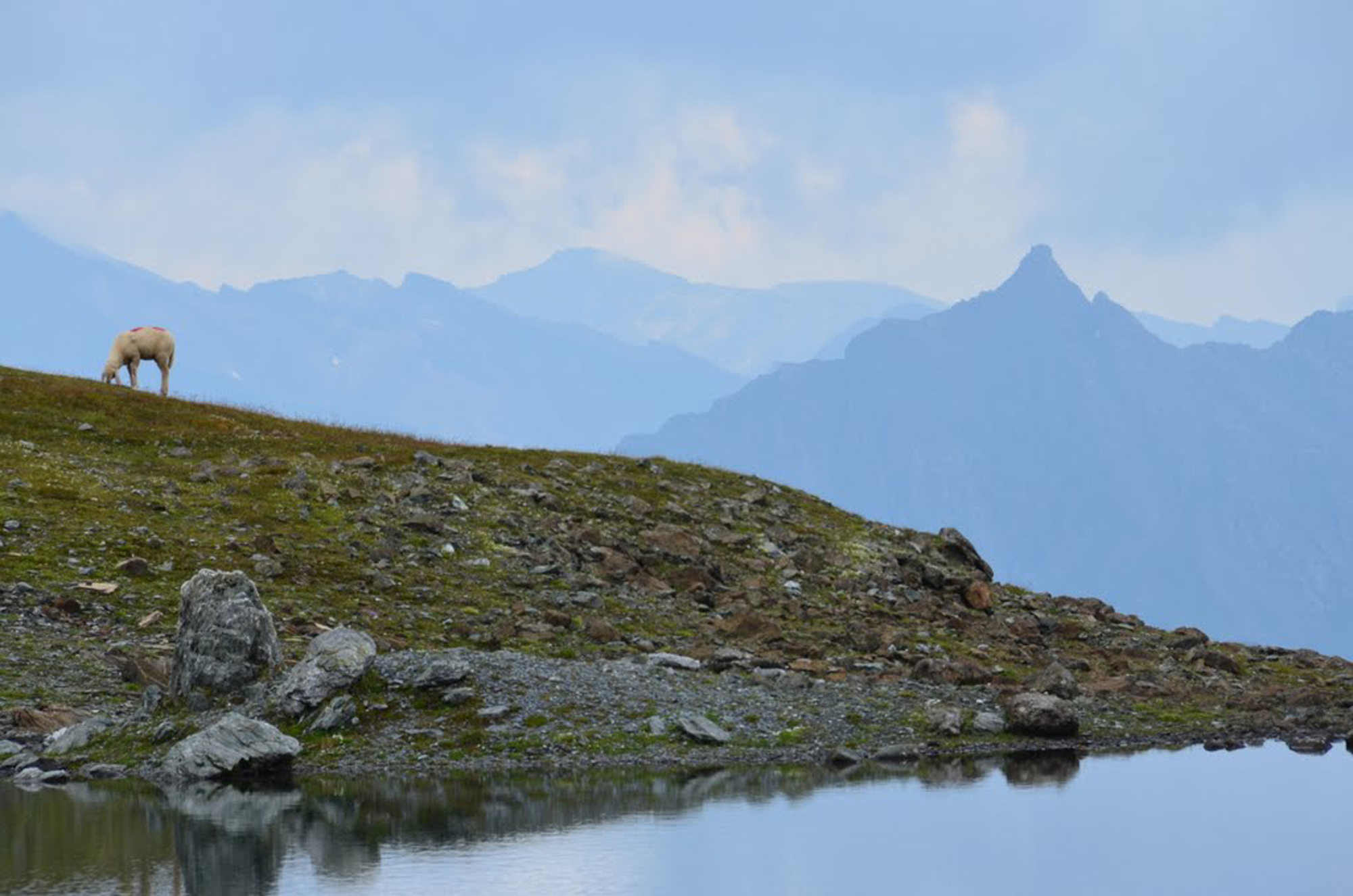 Schlussfolgerungen & Handlungsempfehlungen Wandertourismus