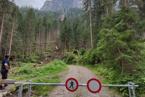 5*-Sicherheitskonzept im Sommer| © LO.LA