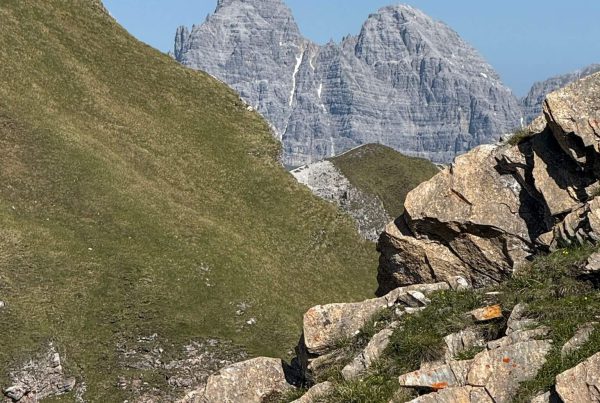 AlpsWatch | (c) LO.LA