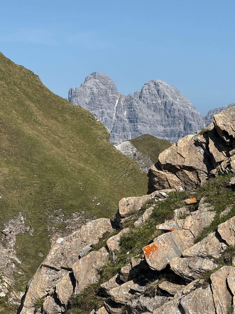 AlpsWatch | (c) LO.LA