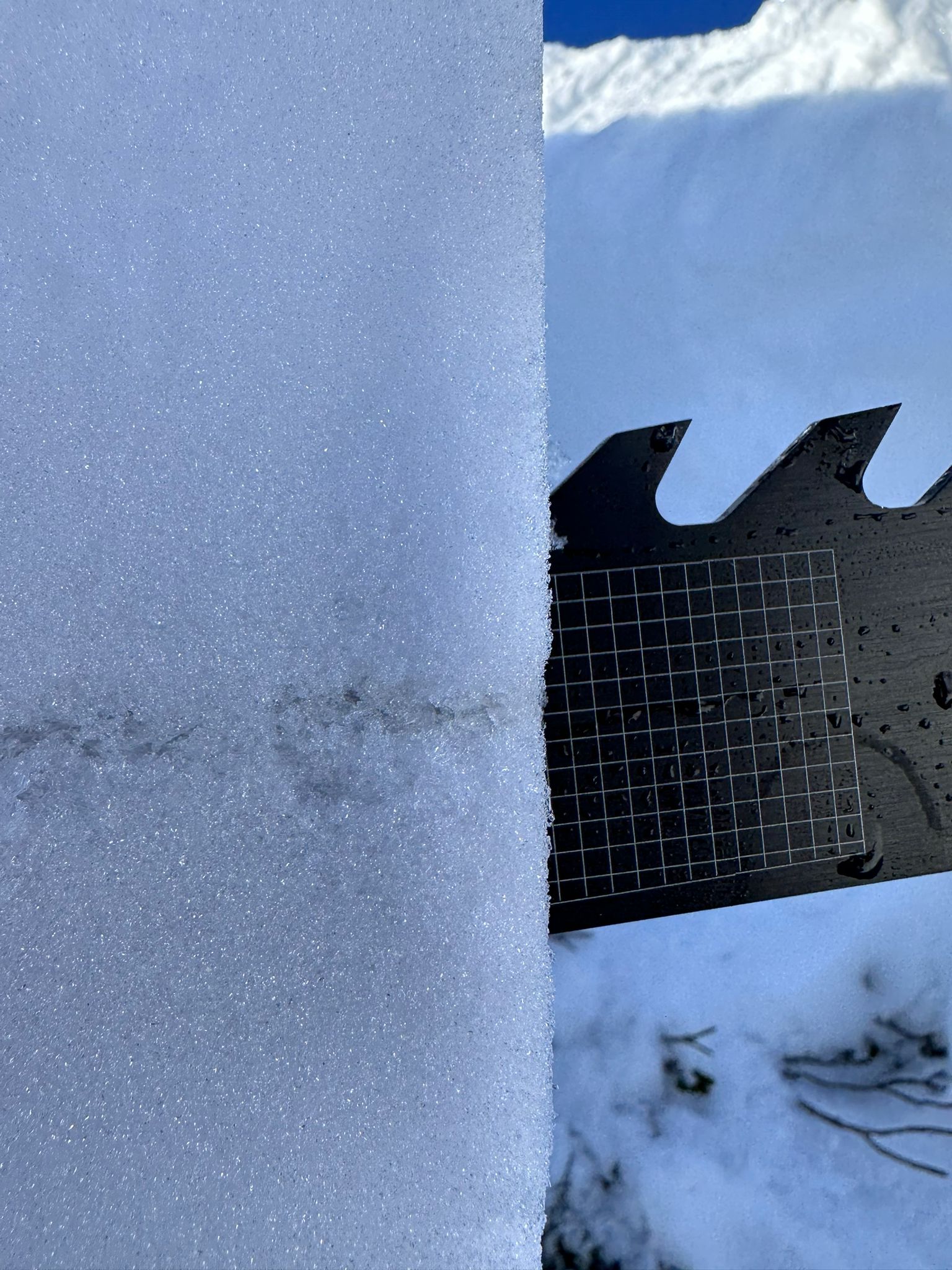 Toolbox BELS | (c) LO.LA