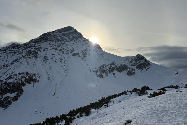 Brantnertal Ausbildung | (c) LO.LA