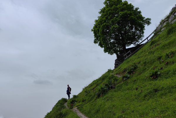 Projekt DIGIWAY | (c) Walter Würtel